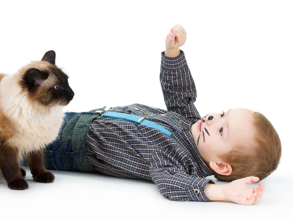 Gato e menino com maquiagem. Humor, diversão, infância feliz . — Fotografia de Stock