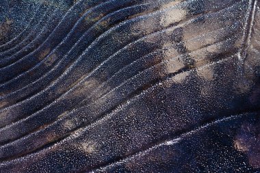 Desen arka plan su birikintisi veya nehir yüzeyinde buz.