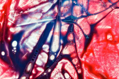 Arka plan donör plastik bir torba kan. Fizyolojik sıvılar, analiz için kimyasal reaktifler