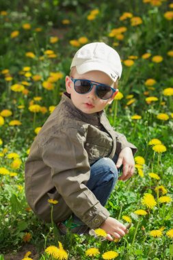 Karahindiba çiçekler gün güneşli yaz yeşil çim çimen çocuk. Bahçede oynayan çocuk.