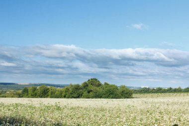 Manzara göz kamaştırıcı olsun arka plan.