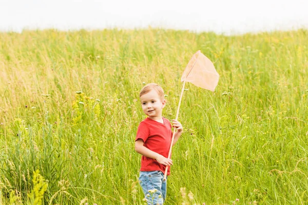 Bir kelebek bir yaz çayır üzerinde net olan küçük çocuk