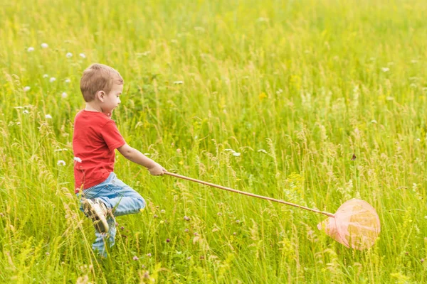 Niño pequeño con una red de mariposas en un prado de verano — Foto de Stock