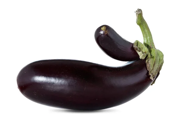 Mutatie plant, aubergine of aubergine plantaardige geïsoleerd op wit — Stockfoto