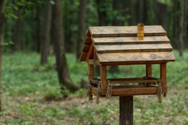 kuş besleme. ağaç ev kuşları için