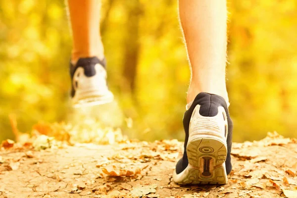 Athlete makes a morning run through the autumn forest. Foliage on a park treadmill and athlete's feet.