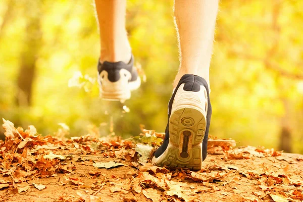 Atleta hace una carrera por la mañana a través del bosque de otoño. Follaje en una cinta de correr del parque y pies de atleta . — Foto de Stock