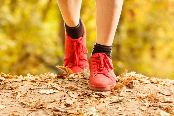 Sportler läuft morgens durch den herbstlichen Wald. Laub auf Parklaufband und Sportlerfüßen. — Stockfoto