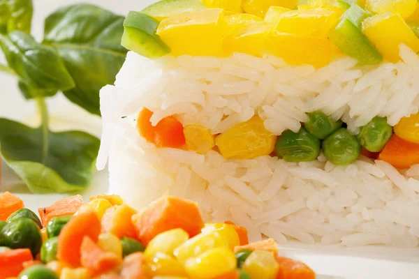 Vejetaryen yiyecekler, pilav salata sebze, sağlıklı yemekler ile — Stok fotoğraf