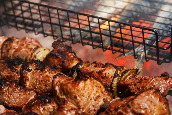 Frito suculento bbq carne e peixe em uma grelha em um fogo cozinhar comida em uma fogueira — Fotografia de Stock