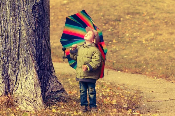 Verspieltes kleines Kind versteckt sich hinter buntem Regenschirm — Stockfoto