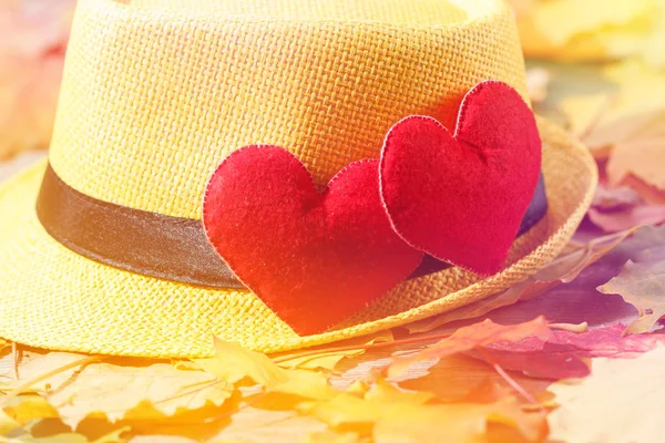 Valentin-nap háttér. Két szív levelek. Szeretet fogalma — Stock Fotó