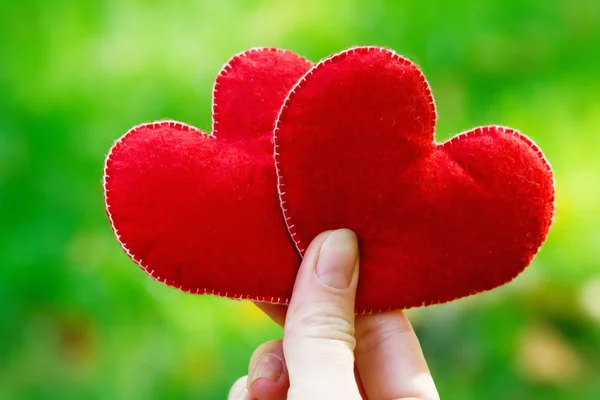 День Святого Валентина фону. Два серця в листі. Поняття кохання — стокове фото