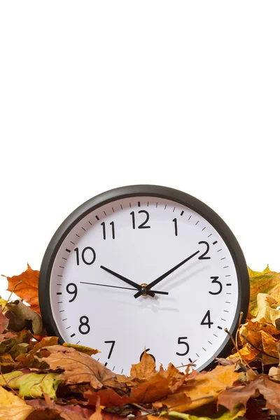 Horloge dans les feuilles d'automne, isoler sur fond blanc — Photo