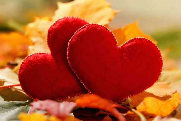 Fondo del día de San Valentín. Dos corazones en hojas. Concepto de amor —  Fotos de Stock