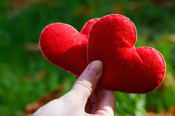 День Святого Валентина фону. Два серця в листі. Поняття кохання — стокове фото