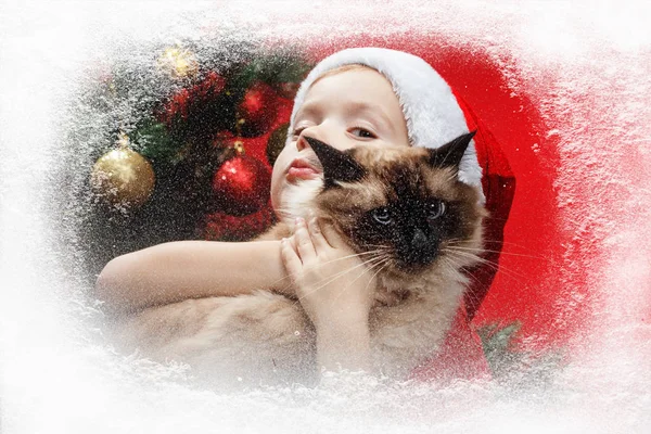圣诞夜小男孩带着一顶圣诞老人的帽子和一只小猫正透过窗子看着。窗户上的霜和雪 — 图库照片