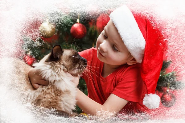 El niño de la noche de Navidad con un sombrero de santa y un gatito están mirando por la ventana. Escarcha y nieve en la ventana — Foto de Stock