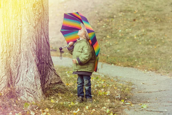 Маленький мальчик прячется за красочным зонтиком на открытом воздухе — стоковое фото