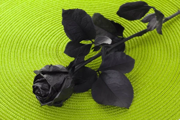 Gros plan de Black Rose — Photo