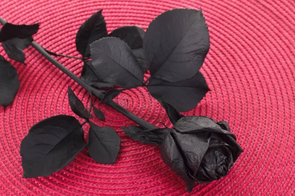 Schwarze Rose in Nahaufnahme — Stockfoto