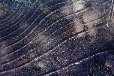 Desen arka plan su birikintisi veya nehir yüzeyinde buz.