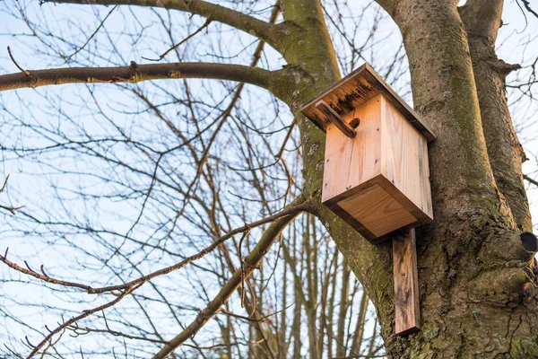 Dřevěná ptačí budka na stromě — Stock fotografie