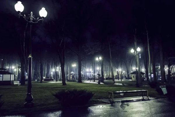 Park miejski noc z lampy uliczne — Zdjęcie stockowe