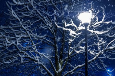 Fener ve güzel kar dalları gökyüzü karşı kaplı