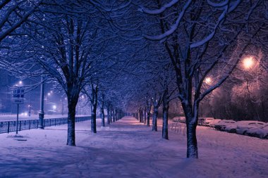 City Park ara sokakta gece kış manzarası