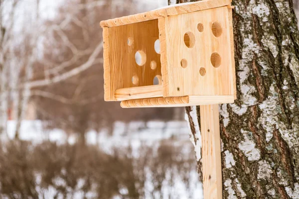 Alimentadores para aves en el parque de la ciudad — Foto de Stock