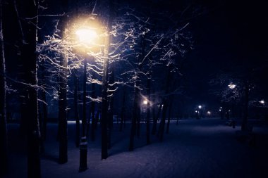 Düşen Kar ile Gece Kış Sokak Lambası. Akşam parkında Fenerler.