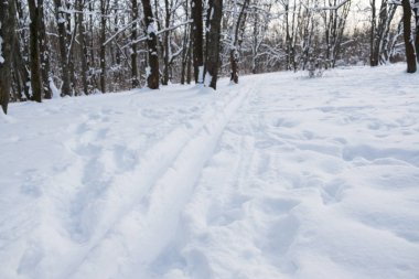 kayak pistlerine kış ormanı
