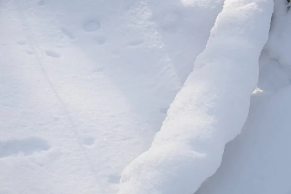 Kar arkaplanı kapat — Stok fotoğraf
