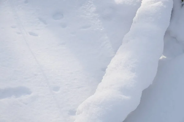 Snö bakgrund närbild — Stockfoto