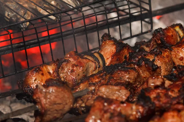 Frito suculento bbq carne e peixe em uma grelha em um fogo cozinhar comida em uma fogueira — Fotografia de Stock