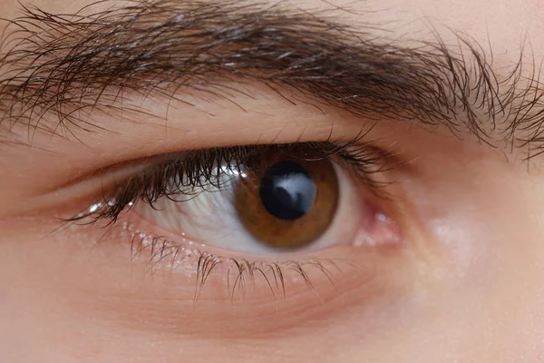 Olhos macro. Aluno, cílios e sobrancelha close-up — Fotografia de Stock