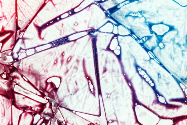 Arka plan donör plastik bir torba kan. Fizyolojik sıvılar, analiz için kimyasal reaktifler