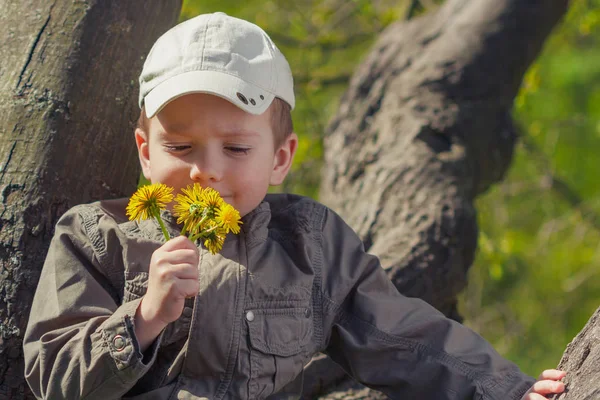 Niño con flores de diente de león en el soleado día de verano. Niño jugando en el jardín . —  Fotos de Stock