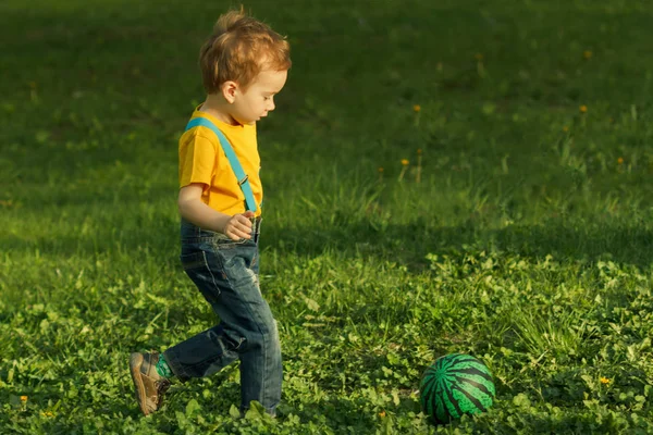 かわいい肯定的な子供は、緑の草原の上にボールと楽しく遊んで — ストック写真