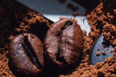 Elektrikli kahve öğütücü ile kavrulmuş kahve çekirdekleri içinde ve kahve tahıl yakın çekim