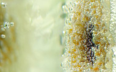 Su altında güzel çiçek