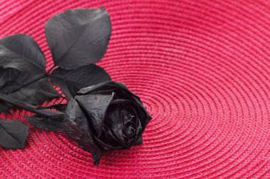 Black Rose yakın çekim