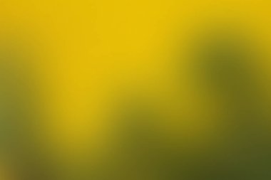 Degrade arka plan çiçek, doğa, bitki, fauna kopya alanı ile