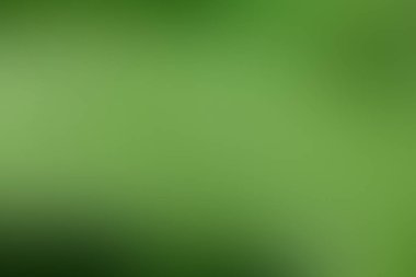 Gradyan arka planı yeşil, ot, çayır, çim, alan, Arka Bahçe, yumuşak yumuşak duvar kağıdı bulanıklık kopya alanı ile