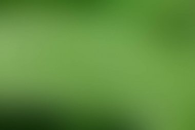 Degrade arka plan yeşil, ot, çayır, çim, alan, arka kopya alanı ile