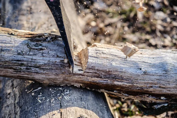Axe corta una rama de árbol en una barbacoa de picnic. Chips están volando . — Foto de Stock