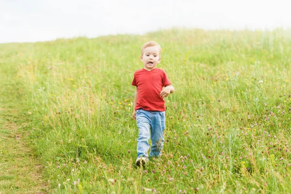 Little boy running across the field on the lawn on a summer day — Stock Photo, Image