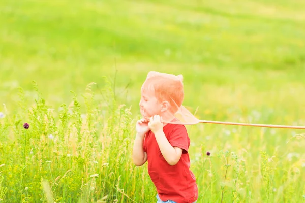 Criança branca adorável brincando com scoop-net no prado no verão quente e ensolarado ou dia de primavera . — Fotografia de Stock