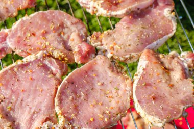 Çimenlerin üzerine yerleştirilen ızgarada taze çiğ et ve sebzenin en iyi görünümü.